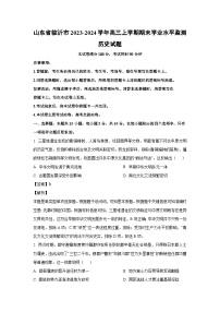 2023~2024学年山东省临沂市高三(上)期末学业水平监测历史试卷(解析版)