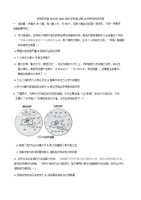 2024-2025学年度四川省资阳中学高二上学期10月月考历史 试题