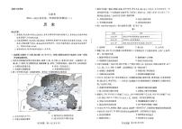 2025河南省名校大联考高一上学期12月月考历史试题PDF版含答案