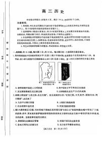 2024年广东高三11月联考 历史试题（含答案）