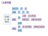 选必二第一单元复习课件食物生产与社会生活