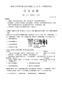 重庆市西南大学附属中学2024~2025学年高三上学期12月一诊模拟考试历史试卷（Word版附答案）