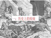 部编版高中历史第14课 历史上的疫病与医学成就PPT课件