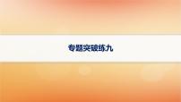 专题版2025届高考历史二轮总复习板块三世界史专题突破练九交流中的多元文化__古代文明的交流和多元的中古世界课件