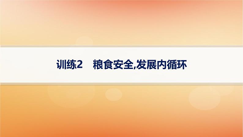 专题版2025届高考历史二轮总复习热点专项练训练2粮食安全发展内循环课件第1页