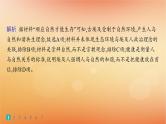 专题版2025届高考历史二轮总复习热点专项练训练3关注生态美丽中国课件