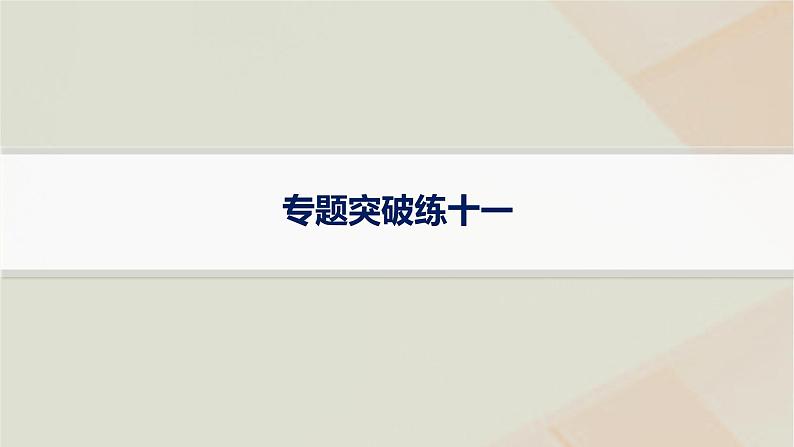 通史版2025届高考历史二轮总复习第一编通史整合板块三多元文明的共生碰撞与交融__世界史专题突破练十一课件第1页