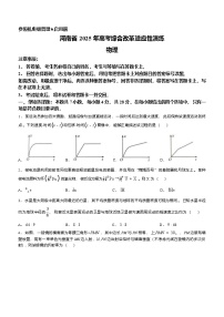 2025年河南省普通高等学校招生考试适应性测试物理试题（八省联考河南物理试卷）