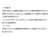 第六单元 北洋军阀统治时期的政治、经济与文化（课件）-2025年高考历史二轮专项复习
