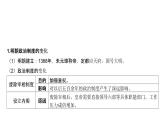 第四单元 从明朝建立到清朝前中期的鼎盛与危机（课件）-2025年高考历史二轮专项复习