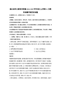 2024~2025学年湖北省华大新高考联盟高三上学期11月教学质量评测历史试卷（解析版）