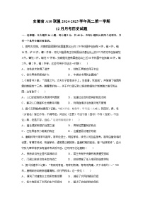 2024~2025学年安徽省A10联盟高二第一学期12月月考历史试卷