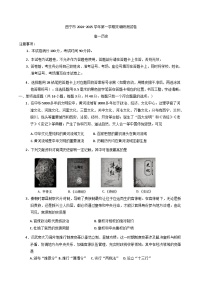 2024—2025学年度青海省西宁市高一第一学期期末考试历史试题