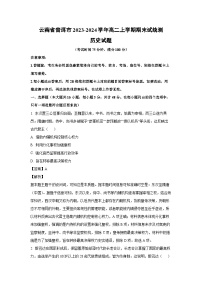 云南省普洱市2023-2024学年高二上学期期末试统测历史试卷（解析版）