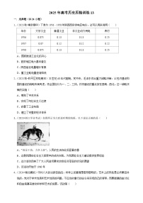 2025年高考历史解密压轴篇 压轴训练13练习（Word版附解析）