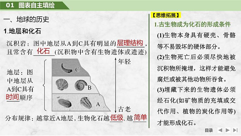 2025届高中地理一轮复习课件：第一部分自然地理第二单元宇宙中的地球第6课时　地球的历史与圈层结构（共42张ppt）第6页