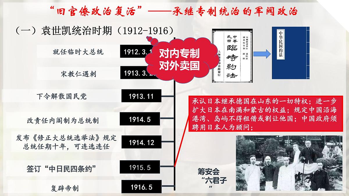 人教统编版高中历史必修上 6-19《北洋军阀统治时期的政治、经济与文化》课件第6页