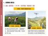 人教統(tǒng)編版高中歷史必修上 11-30課件：新時代中國特色社會主義的偉大成就