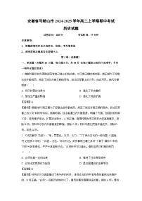安徽省马鞍山市2024-2025学年高二上学期期中考试历史试卷（解析版）