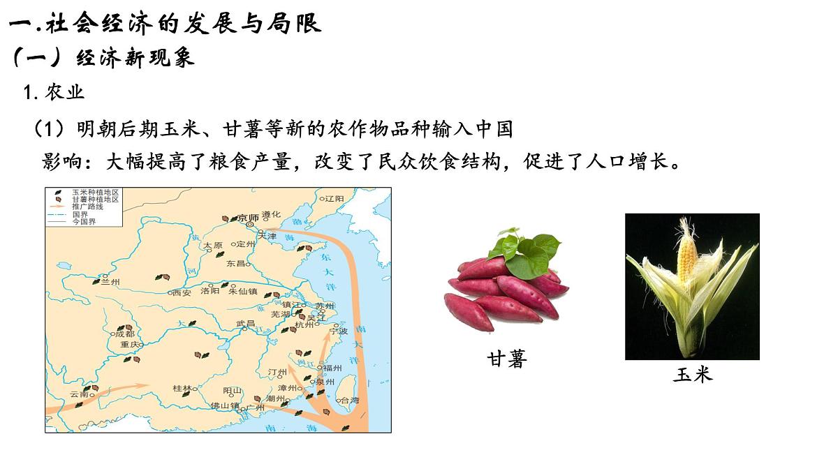 第14课《明至清中叶的经济与文化》课件 部编版高中历史中外历史纲要上册第2页