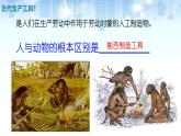 人教统编版高中历史选修2 2-4《古代的生产工具与劳作》课件