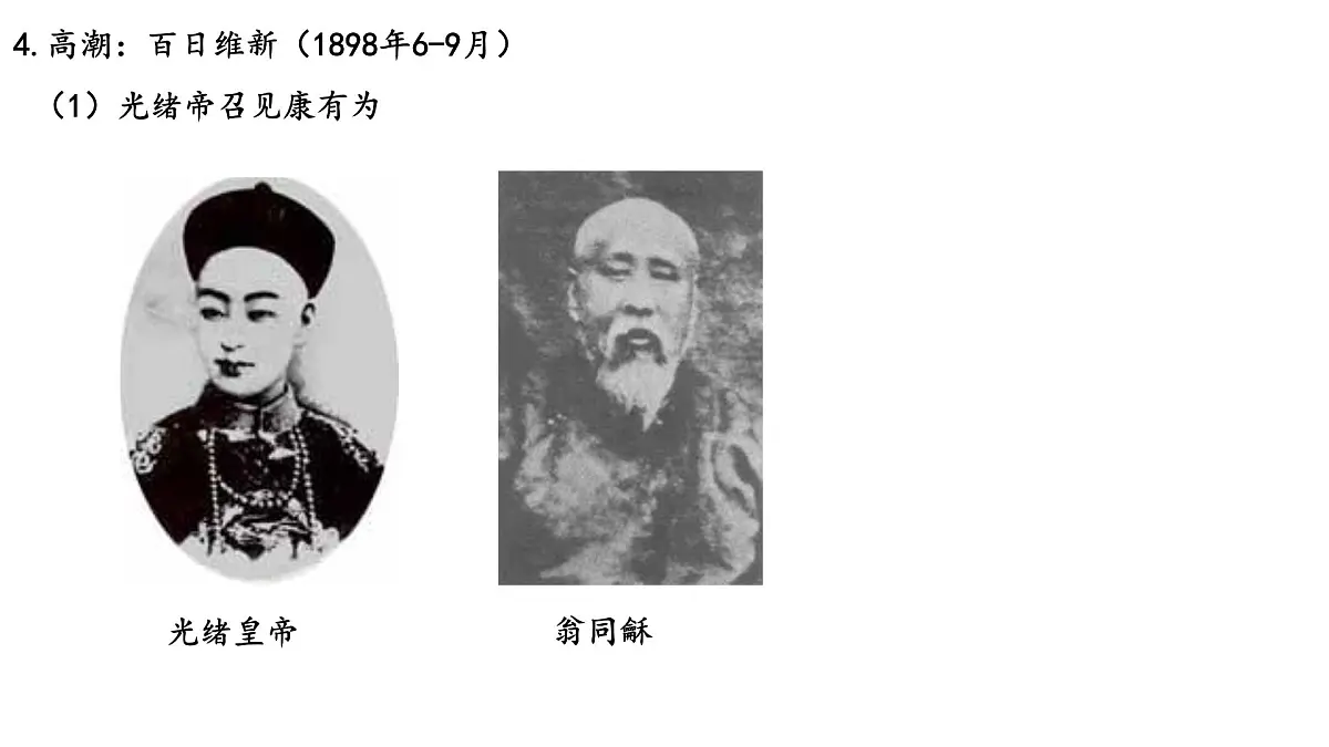 第17课 《挽救民族危亡的斗争》课件 部编版高中历史中外历史纲要上册第8页