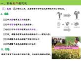 人教統(tǒng)編版高中歷史選修2 1-3《現(xiàn)代食物的生產(chǎn)、儲(chǔ)存與食品安全》課件