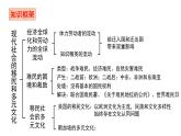 人教统编版高中历史选修3 3-8《现代社会的移民和多元文化》课件