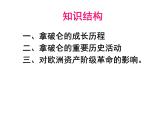 人教版 (新课标)高中历史选修4 3-3《一代雄狮拿破仑》课件