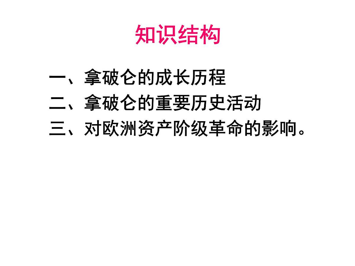 人教版 (新课标)高中历史选修4 3-3《一代雄狮拿破仑》课件第5页