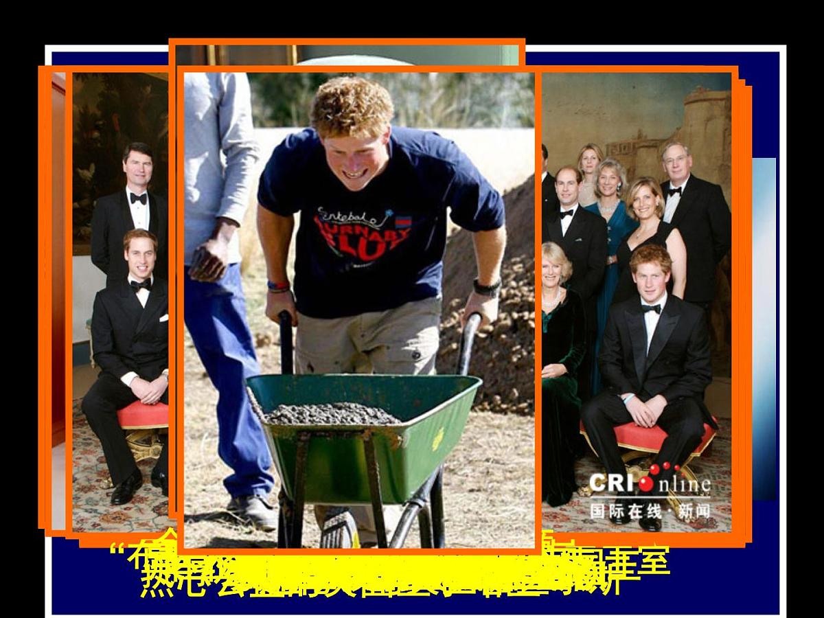 教案—人教版 (新课标)高中历史必修1 3-7《英国君主立宪制的建立》课件第2页