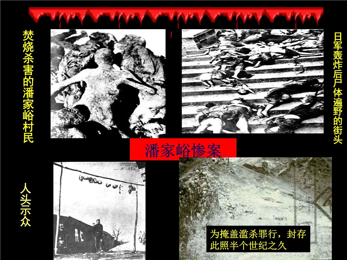 人教版 (新课标)高中历史必修1 4-16《抗日战争》课件第5页
