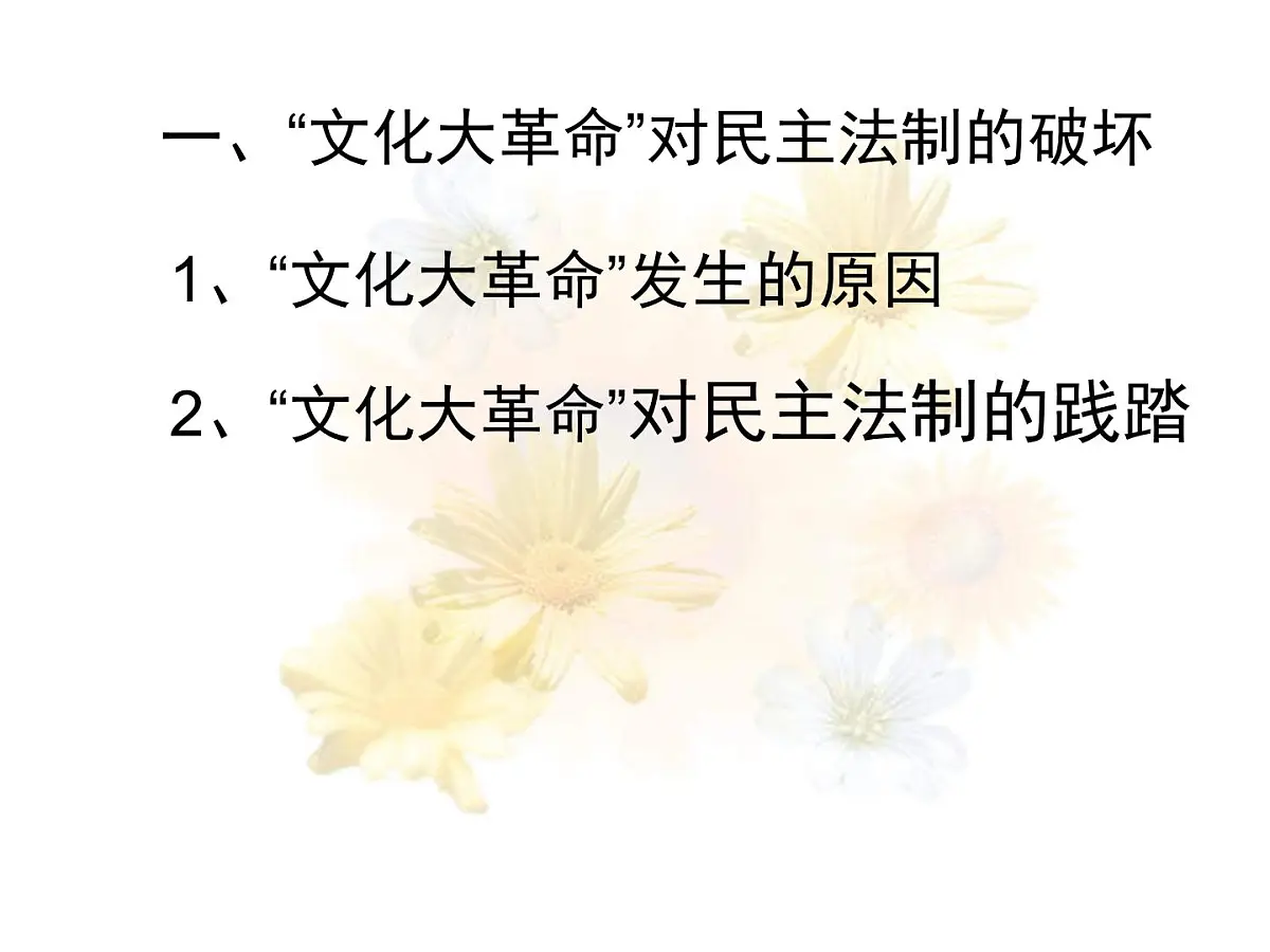 人教版 (新课标)高中历史必修1 6-21《民主政治建设的曲折发展》课件第2页