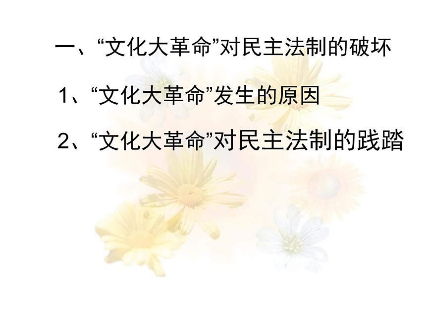 人教版 (新课标)高中历史必修1 6-21《民主政治建设的曲折发展》课件第2页