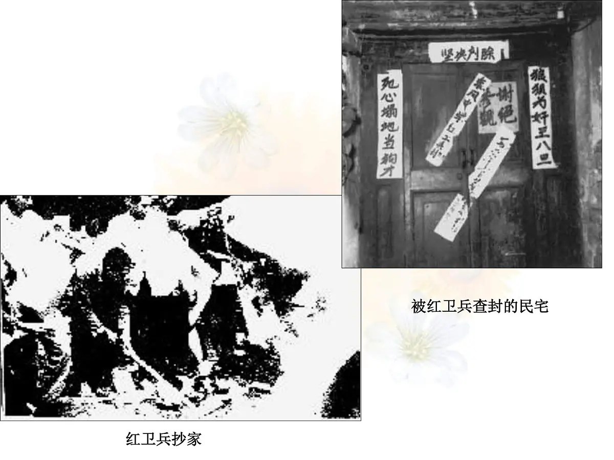 人教版 (新课标)高中历史必修1 6-21《民主政治建设的曲折发展》课件第5页