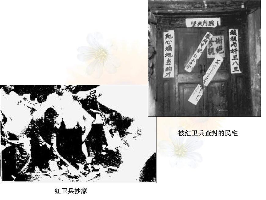 人教版 (新课标)高中历史必修1 6-21《民主政治建设的曲折发展》课件第5页
