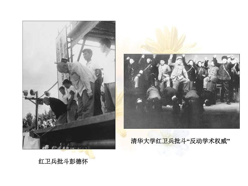 人教版 (新课标)高中历史必修1 6-21《民主政治建设的曲折发展》课件第6页