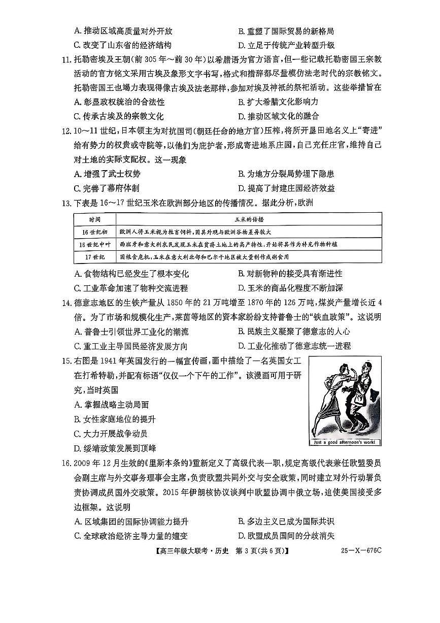 河南省TOP二十名校2025届高三猜题大联考历史试题（含答案）第3页