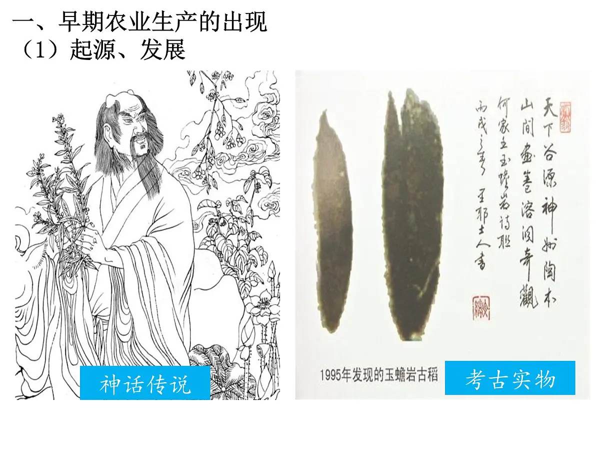 人教版 (新课标)高中历史必修2 1-1《发达的古代农业》课件第2页