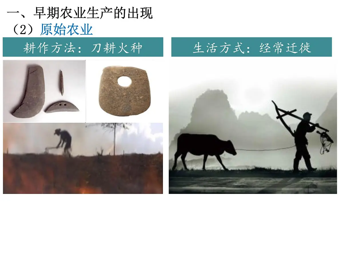 人教版 (新课标)高中历史必修2 1-1《发达的古代农业》课件第4页