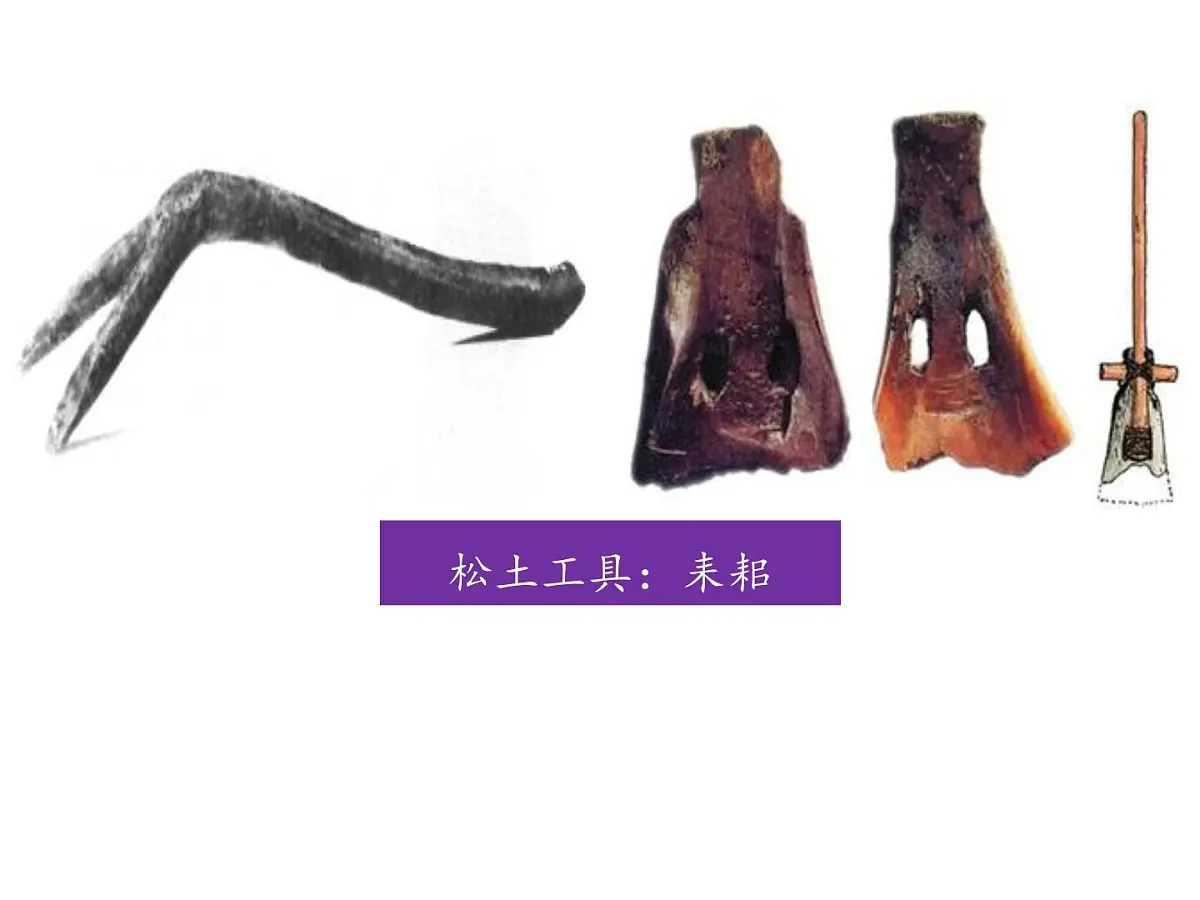 人教版 (新课标)高中历史必修2 1-1《发达的古代农业》课件第5页