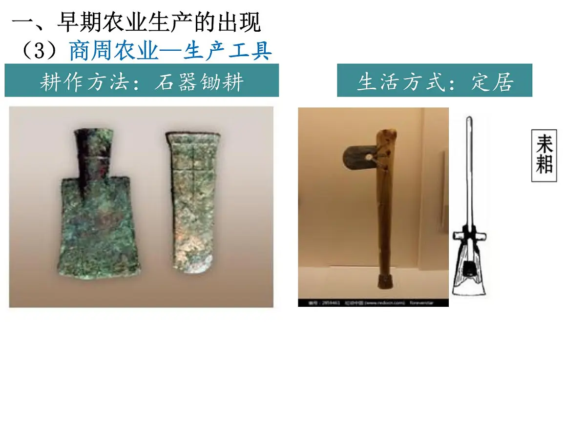 人教版 (新课标)高中历史必修2 1-1《发达的古代农业》课件第6页