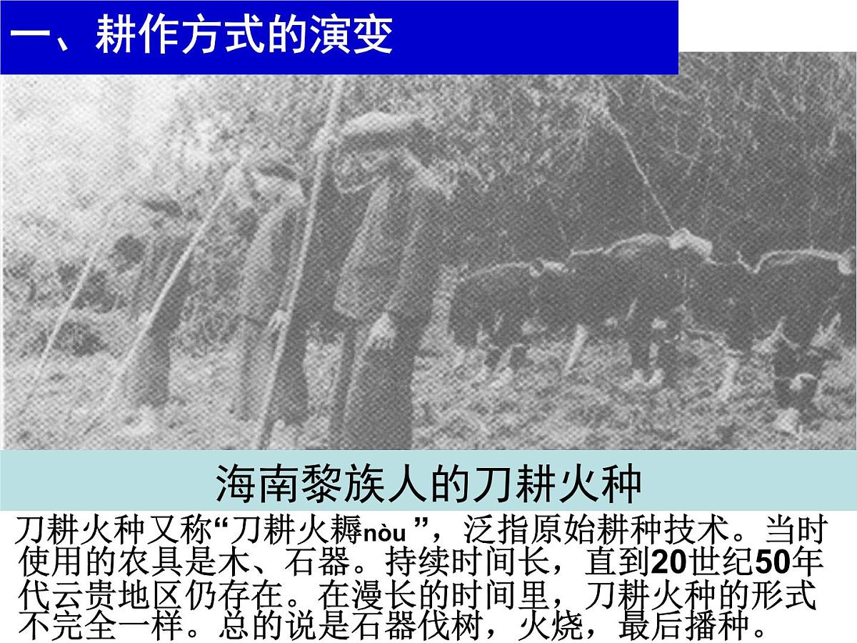 人教版 (新课标)高中历史必修2 第一单元古代中国经济的基本结构与特点复习课件第5页