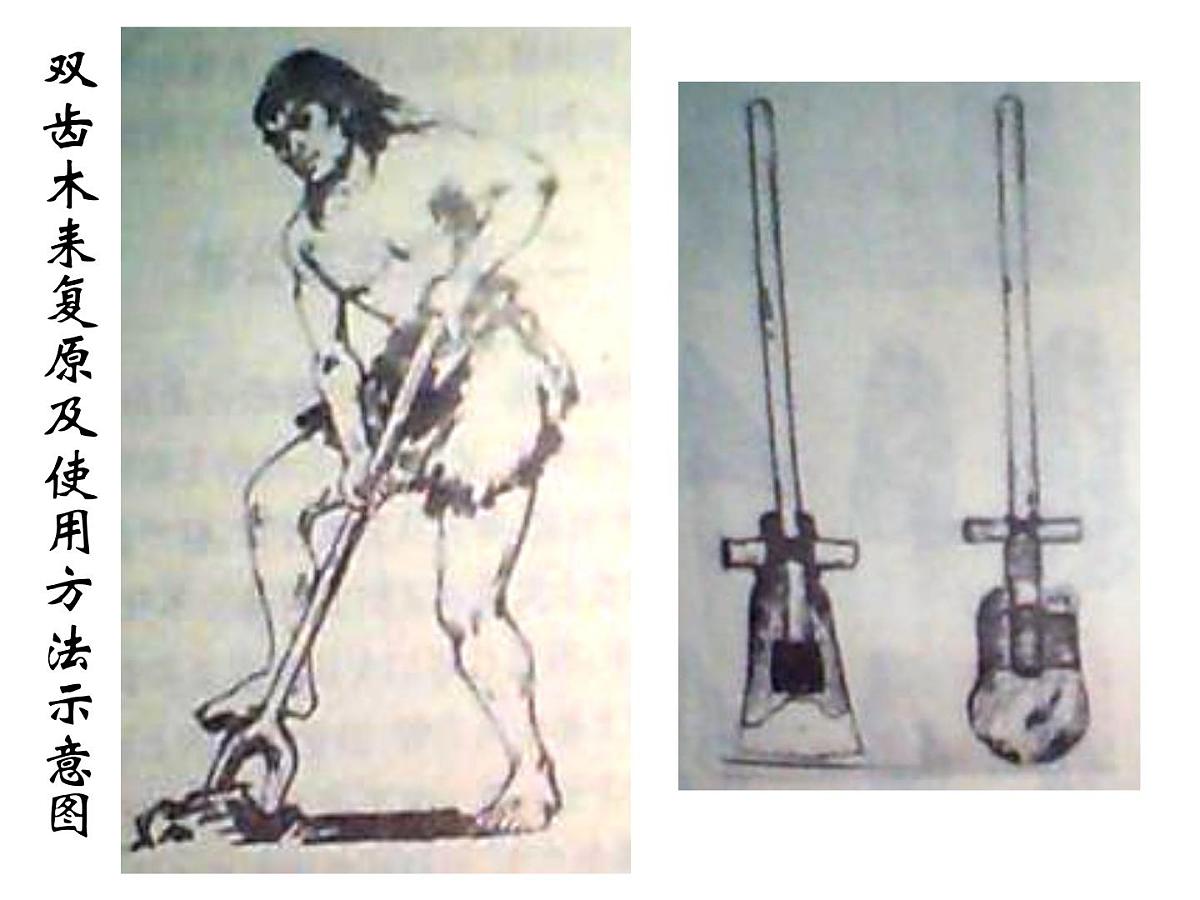 人教版 (新课标)高中历史必修2 第一单元古代中国经济的基本结构与特点复习课件第6页