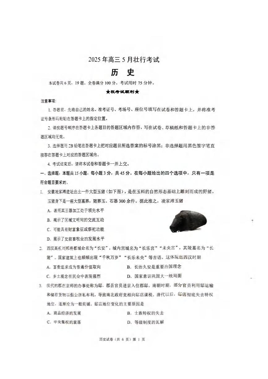 历史丨湖北省新八校协作体2025届高三下学期5月壮行考试卷及答案第1页