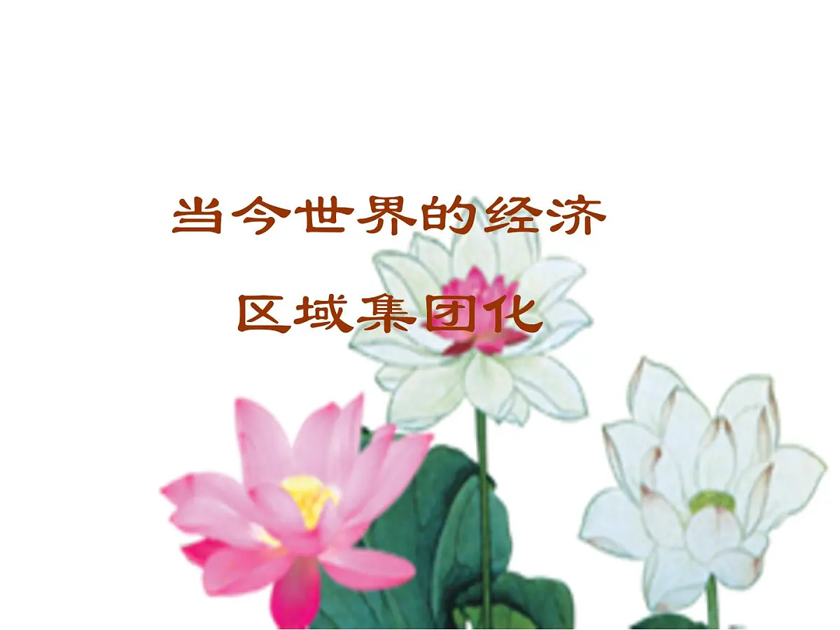 人教版 (新课标)高中历史必修2 8-23《世界经济的区域集团化》课件第1页