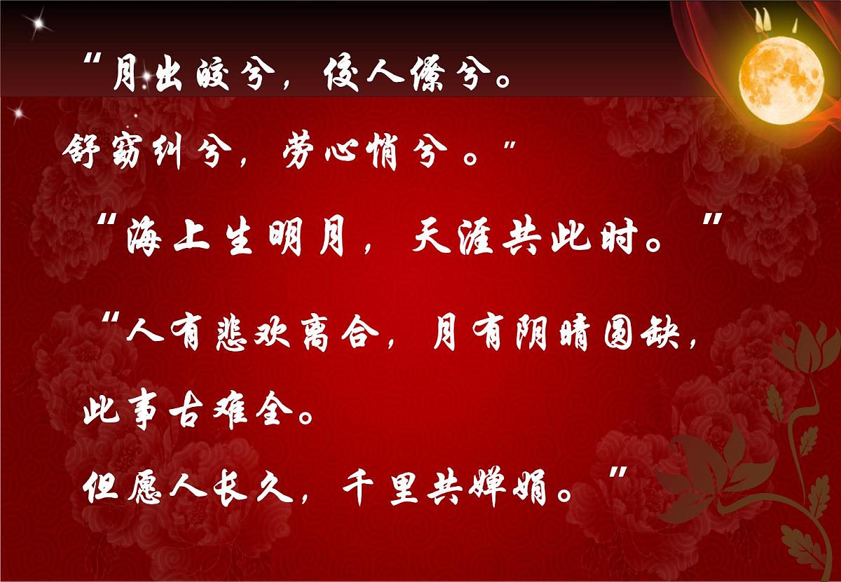 人教版 (新课标)高中历史必修3 3-9《辉煌灿烂的文学》课件第2页