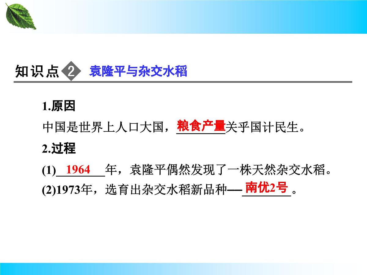 人教版 (新课标)高中历史必修3 6-19《建国以来的重大科技成就》课件第7页