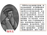 人教版 (新课标)高中历史选修1 5-3《宗教改革运动的扩展》课件