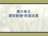 人教版 (新课标)高中历史选修1 第六单元穆罕默德·阿里改革综合复习课件